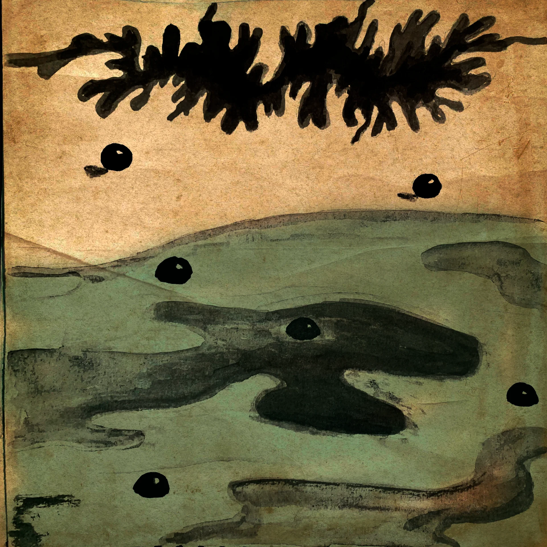 Capa de shirikodama